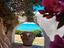 Immagine 12