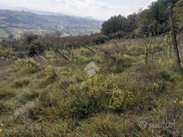 TER. AGRICOLO A PRATA DI PRINCIPATO ULTRA