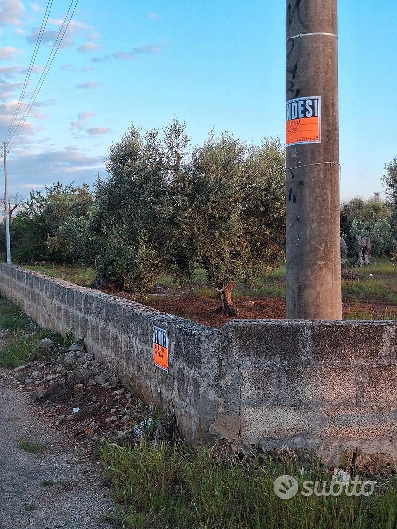 Terreno agricolo - Vista 3