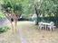 Immagine 23
