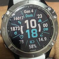 Garmin
