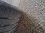 Immagine 24