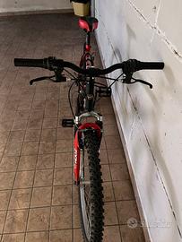 Bicicletta mountain bike