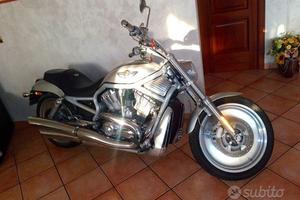 HARLEY-DAVIDSON 1130 V-ROD - VRSCA centenario