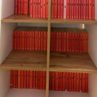 Collezione Libri Gialli I Bassotti