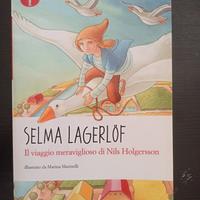 il viaggio meraviglioso di Nils Holgersson 