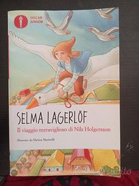 il viaggio meraviglioso di Nils Holgersson 