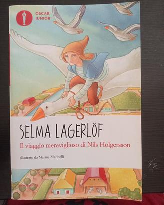 il viaggio meraviglioso di Nils Holgersson 