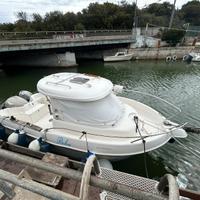 QuickSilver Pilothouse 640 motori semi-nuovi