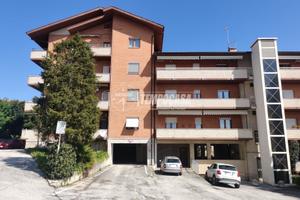 Ampio appartamento con soffitta e box