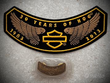 Spilla e patch HOG 2013-2014-2015-2017
