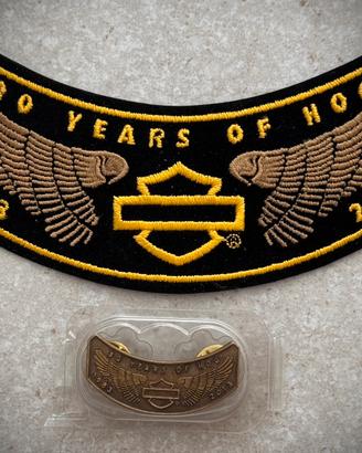 Spilla e patch HOG 2013-2014-2015-2017