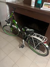 Bicicletta bianca e verde