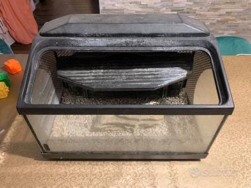 Acquario per Tartarughe