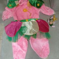 vestito di carnevale 