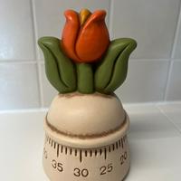 Timer Thun non funzionante