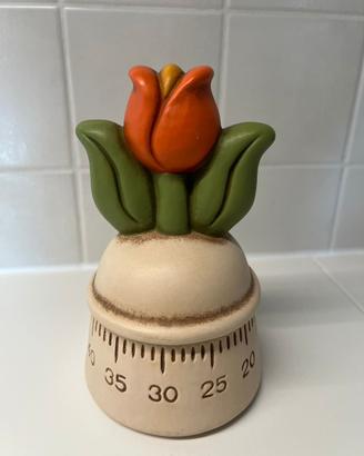Timer Thun non funzionante