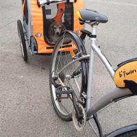 Rimorchio bicicletta per cani