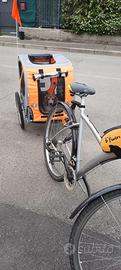 Rimorchio bicicletta per cani