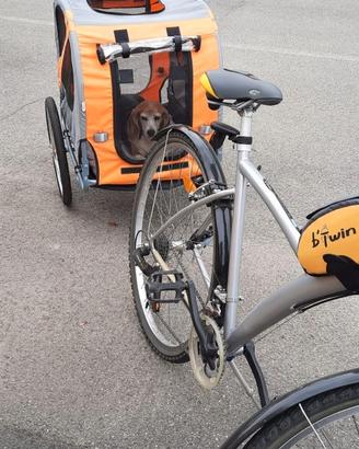 Rimorchio bicicletta per cani