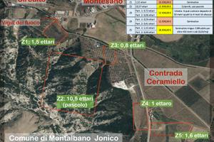 Terreno seminativo, uliveto, pascolo, edificabile