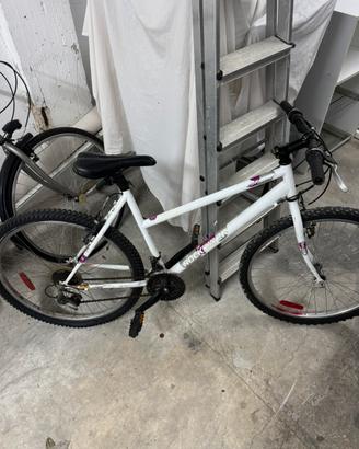 bicicletta