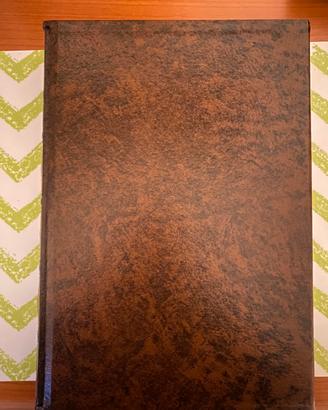 I Fioretti di San Francesco