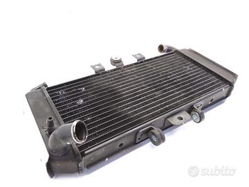 YAMAHA FZS FAZER 600 RADIATORE 1998 1999 RJ021+RJ0