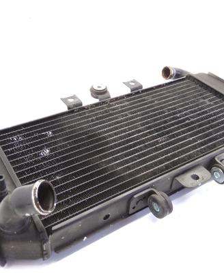 YAMAHA FZS FAZER 600 RADIATORE 1998 1999 RJ021+RJ0