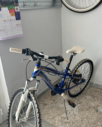 Mountain Bike Jumper Trek Flash 24”