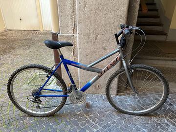 Bicicletta