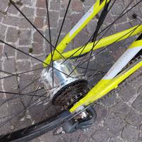 Bici elettrica