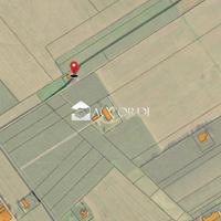 Rif.SM55| azienda agricola maniago