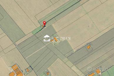 Rif.SM55| azienda agricola maniago