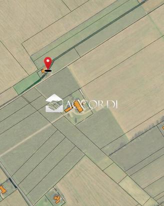 Rif.SM55| azienda agricola maniago