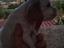 Immagine 6
