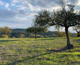 Terreno a Ragusa