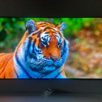 Tv Sony bravia oled 55 pollici