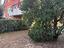 Immagine 14
