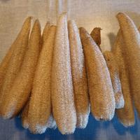 luffa
