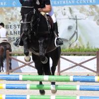 Cavallo