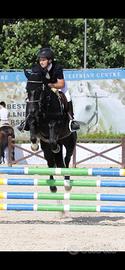 Cavallo