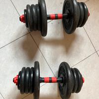 Manubri