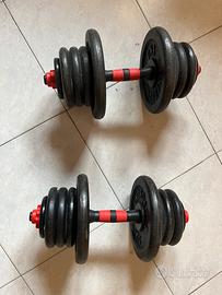 Manubri
