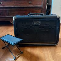 Amplificatore Peavey e 208