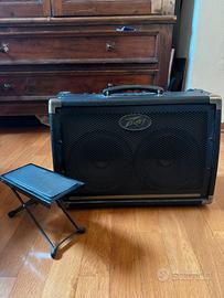 Amplificatore Peavey e 208