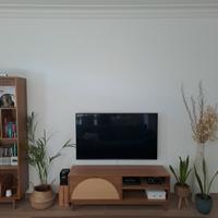 Imbianchino Pittore Stuccatore