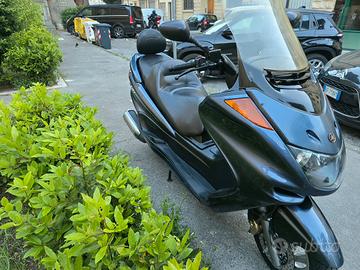 majestic 250 perfetto