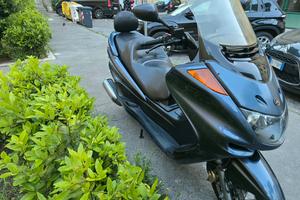 majestic 250 perfetto