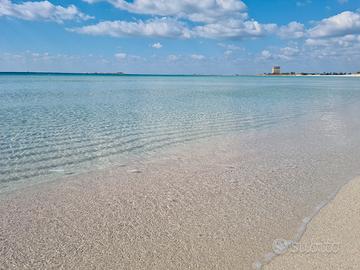 Alloggio per spiagge in foto